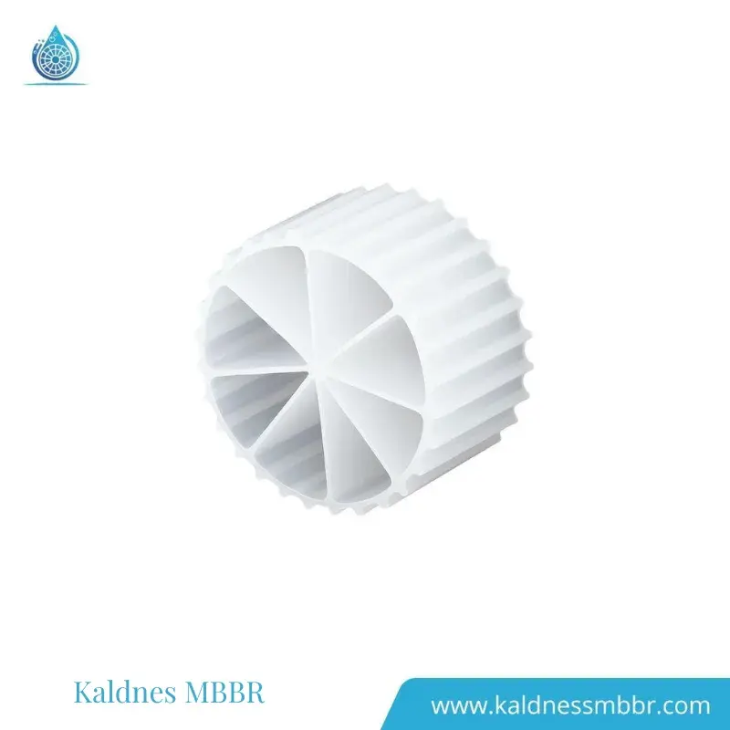 Jenis Kaldness